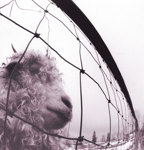 Pearl Jam: PEARL JAM / VS