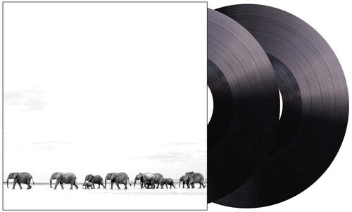 Dave Matthews: Where Are You Going: The Singles