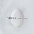 Wilco: A Ghost Is Born
