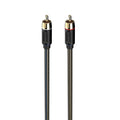 Austere Audio V Series Audio Interconnect Cable 2.0m